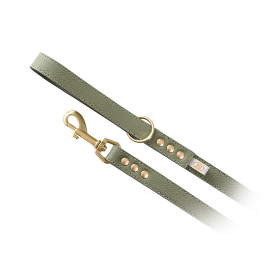 Luxury Sage Leather Leash