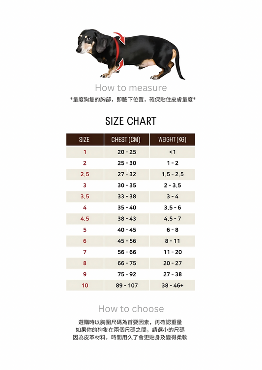 Luxury Black Knight Harness