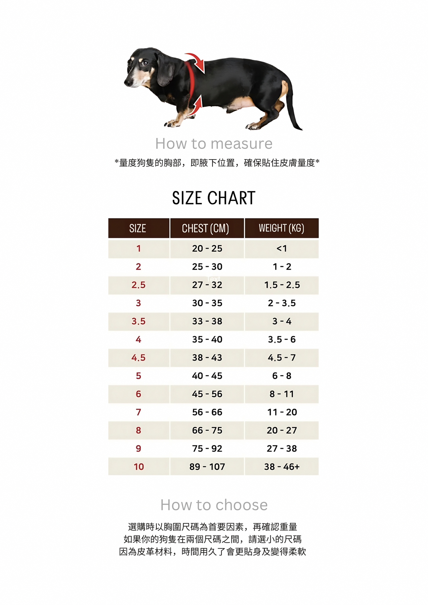 Elite Rainbow Harness