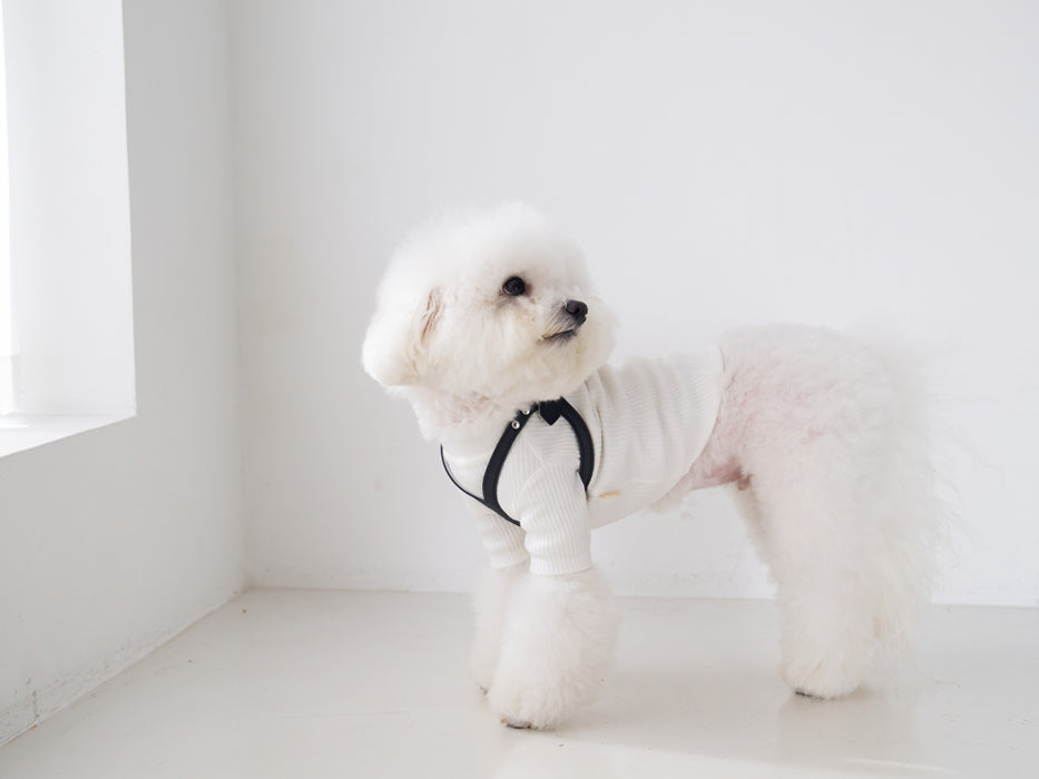Premium Black Harness