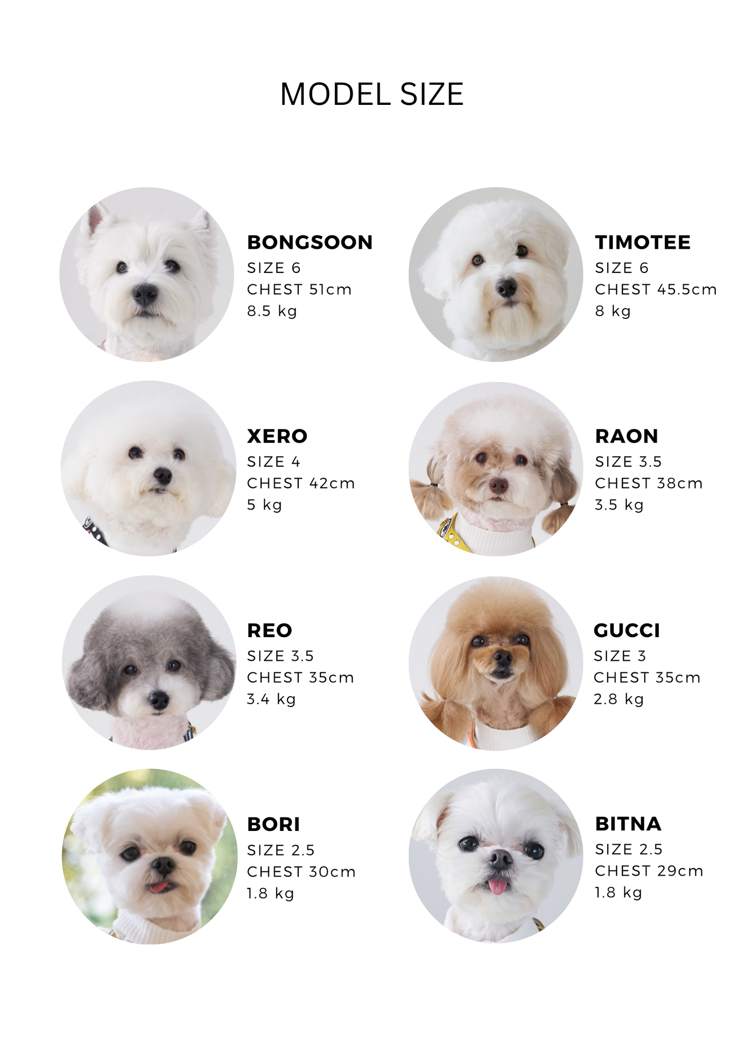 Luxury Whitecap Harness