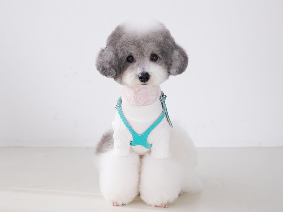 Luxury Tiffurny Harness