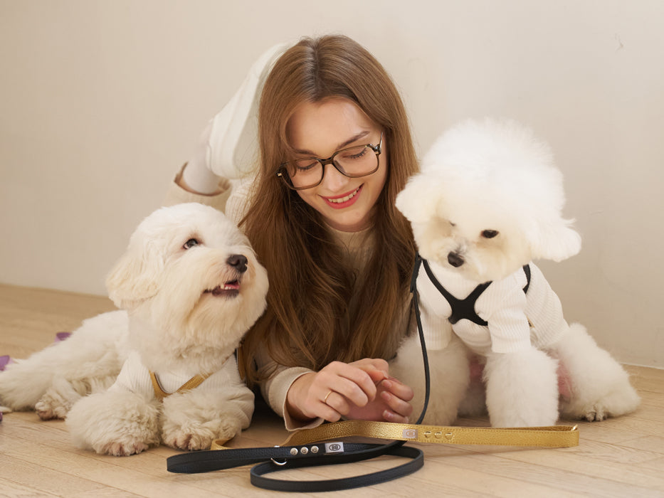 Premium Black Leather Leash