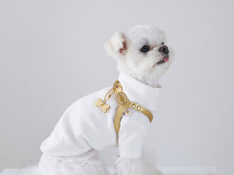 Elite Gold Nugget Harness