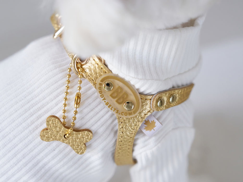 Elite Gold Nugget Harness