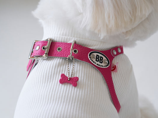 Luxury Hotpink Leather Leash