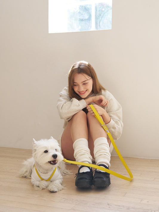 Luxury Canary Harness