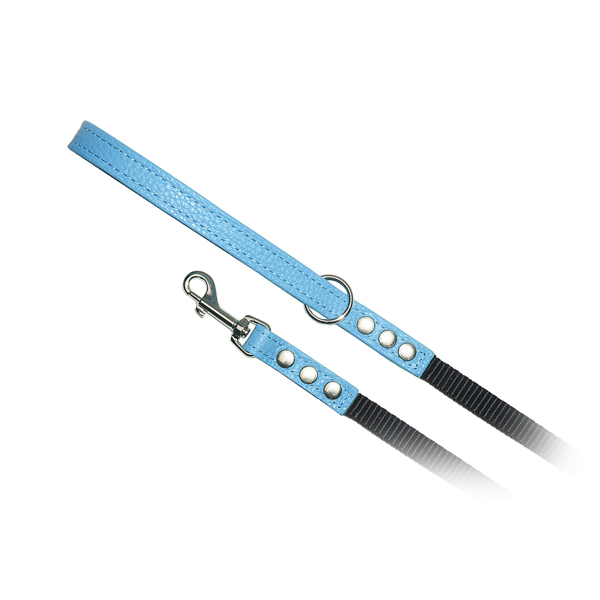 Premium Blue Nylon Leash