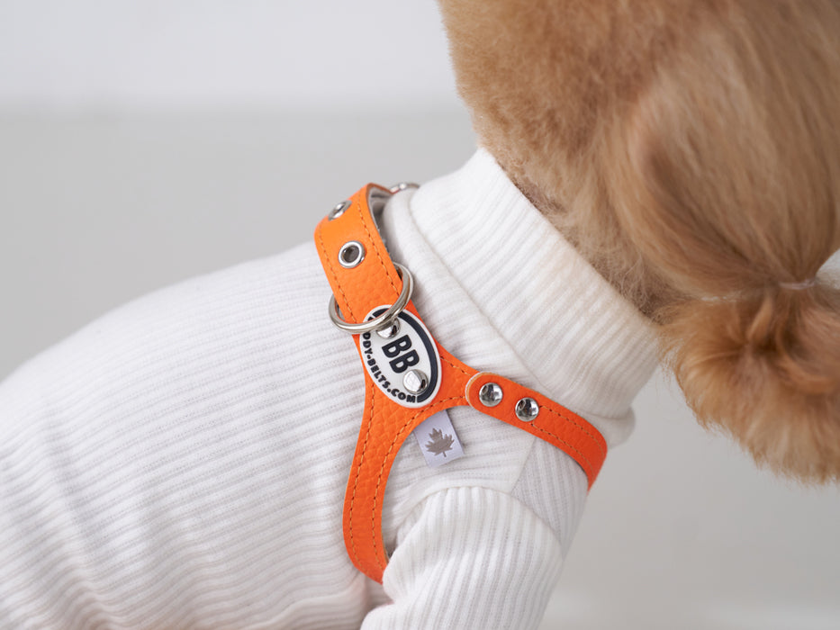 Luxury Fireball Leather Leash