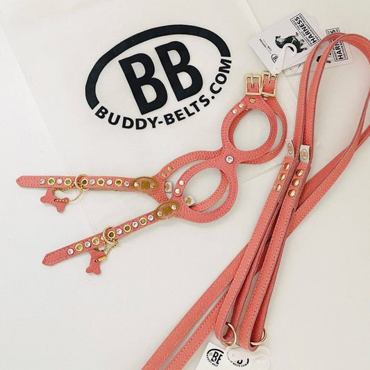 Elite Coral Dream Leather Leash