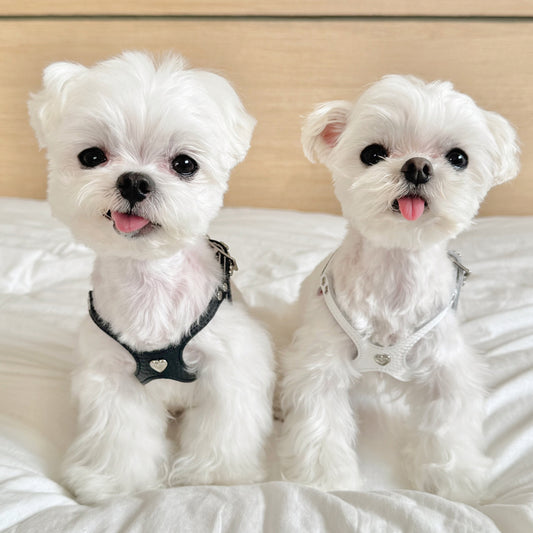 Heart I Pyramid Studs (HK Exclusive)