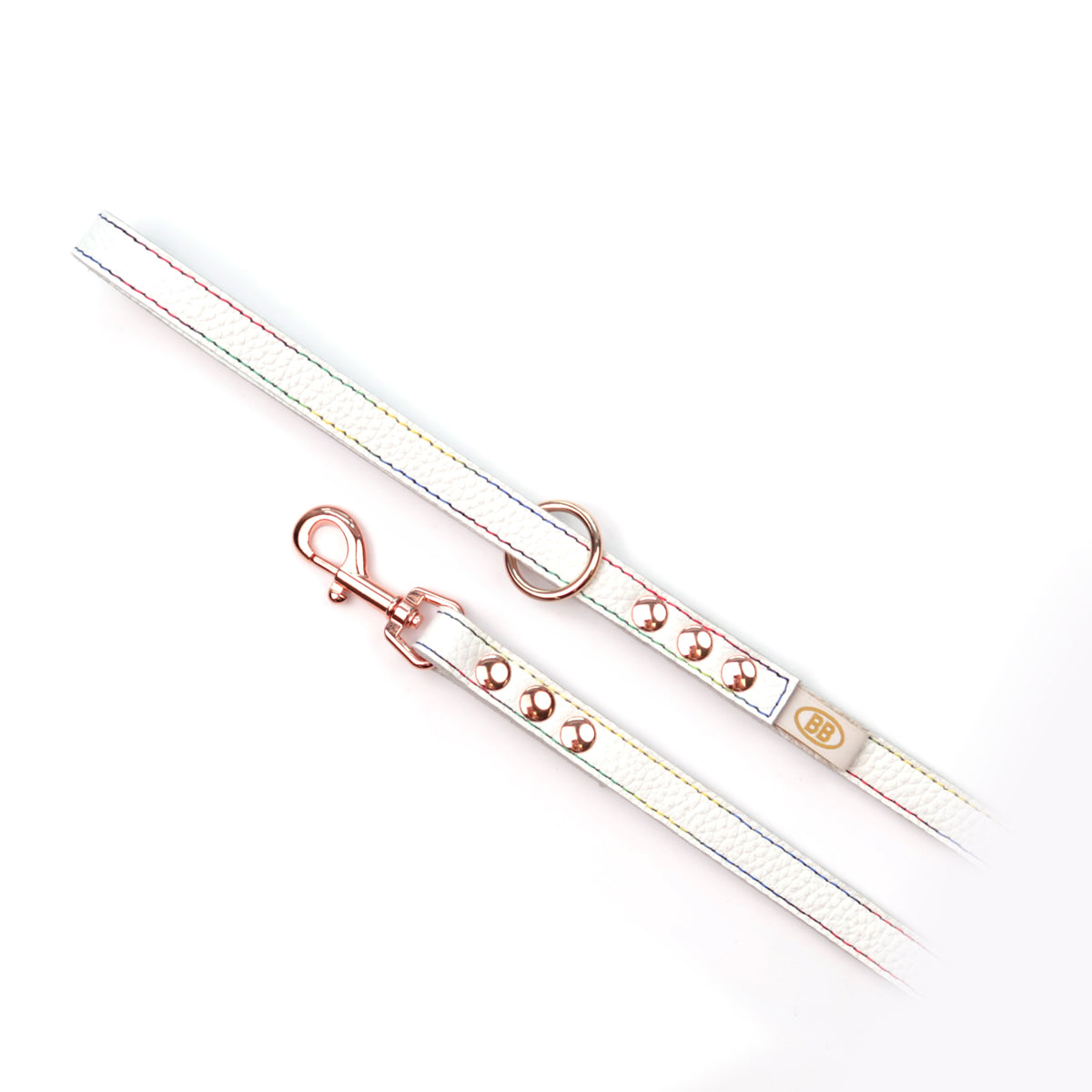 Elite Rainbow Leather Leash