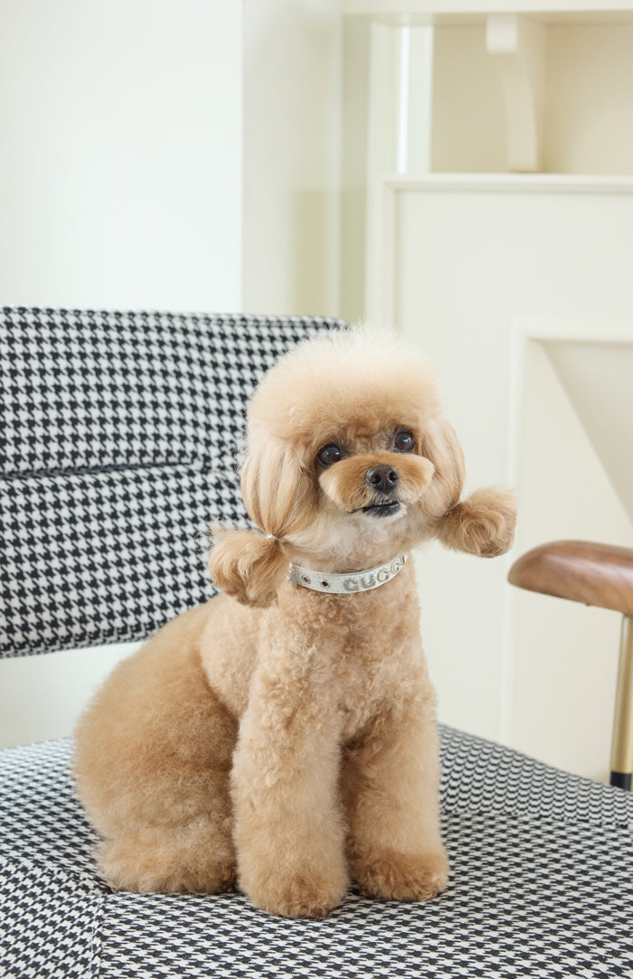 Luxury Whitecap Collar