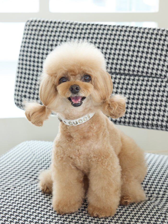 Luxury Whitecap Collar