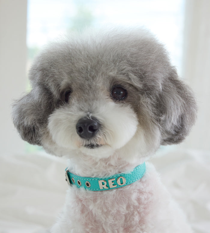 Luxury Tiffurny Collar