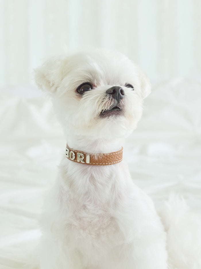 Premium Caramel Collar