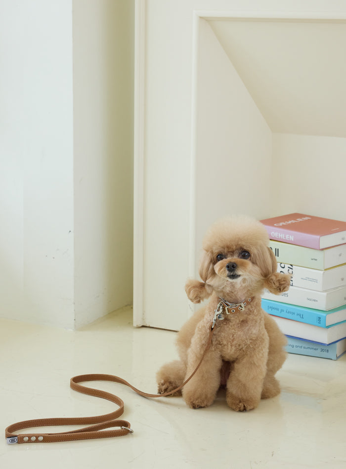 Premium Caramel Collar