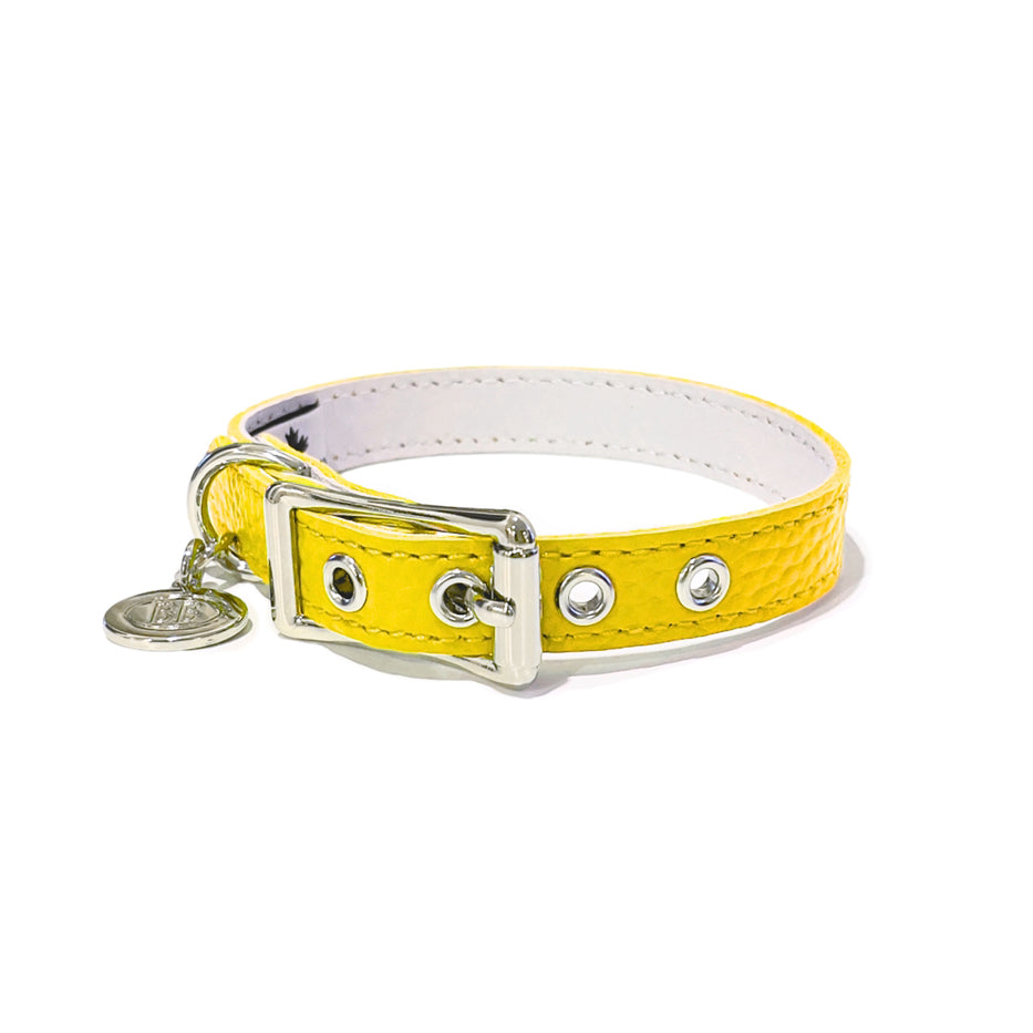 Luxury Canary Collar
