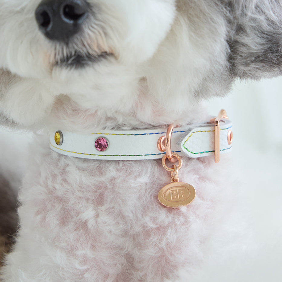 Elite Rainbow Collar