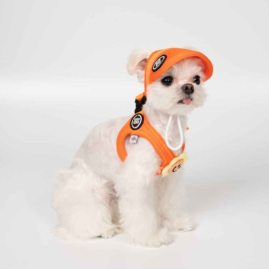BB Sport Cap - Firefly