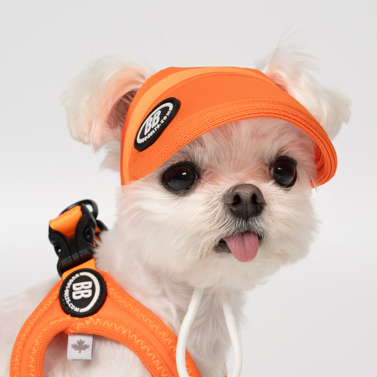 BB Sport Cap - Firefly