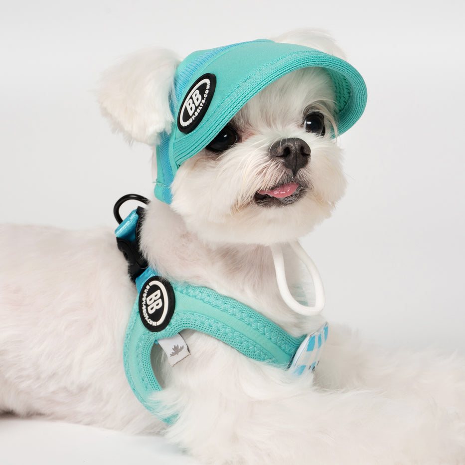 BB Sport Cap - Kingfisher