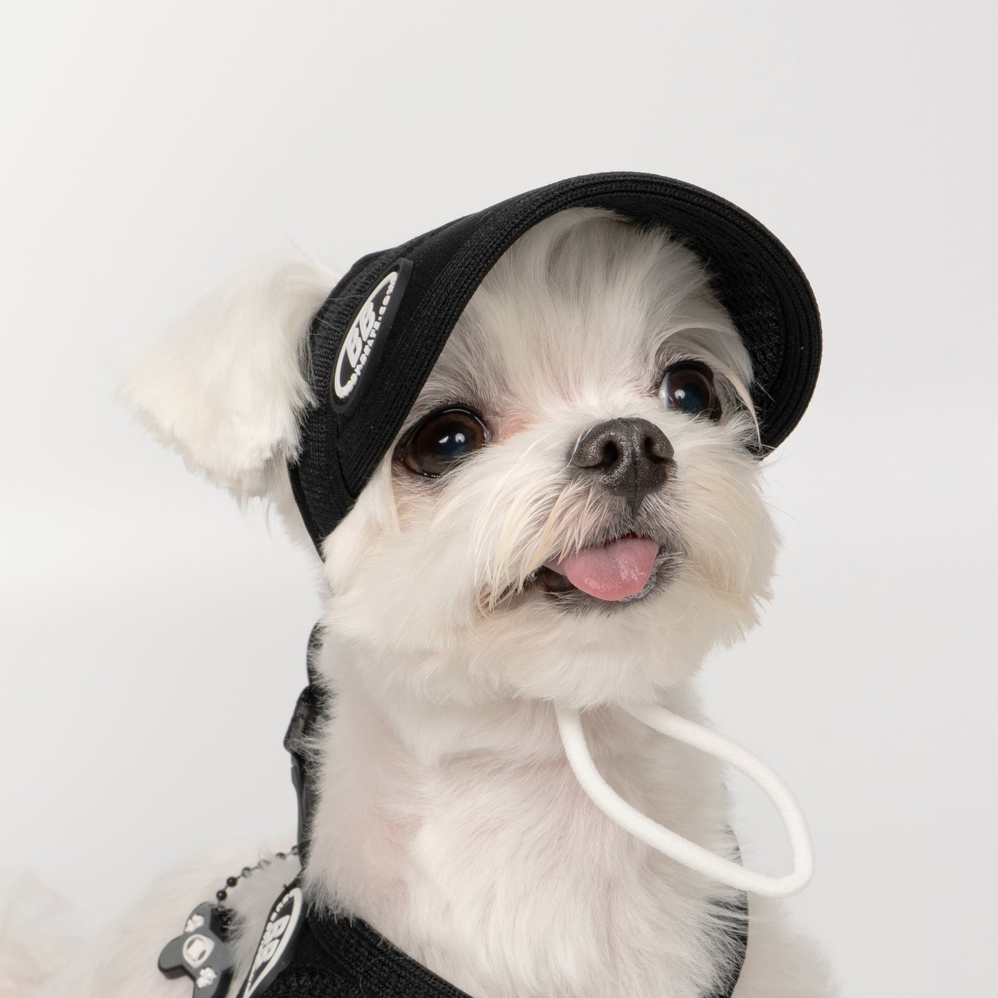 BB Sport Cap _ New Moon