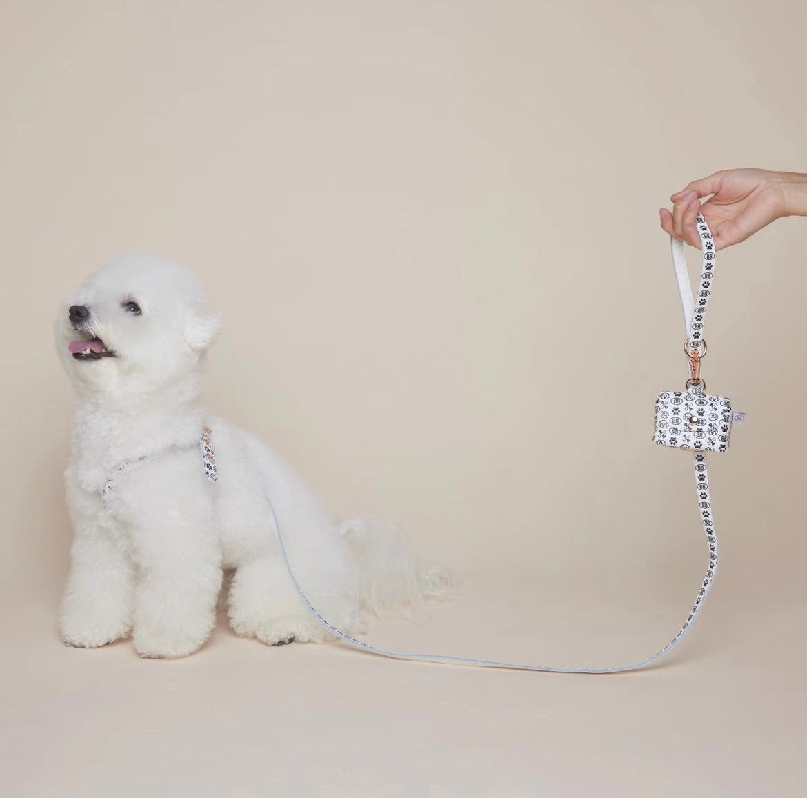 Elite Signature Blanc Leather Leash