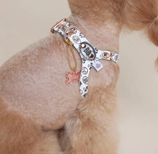 Elite Signature Blanc Harness