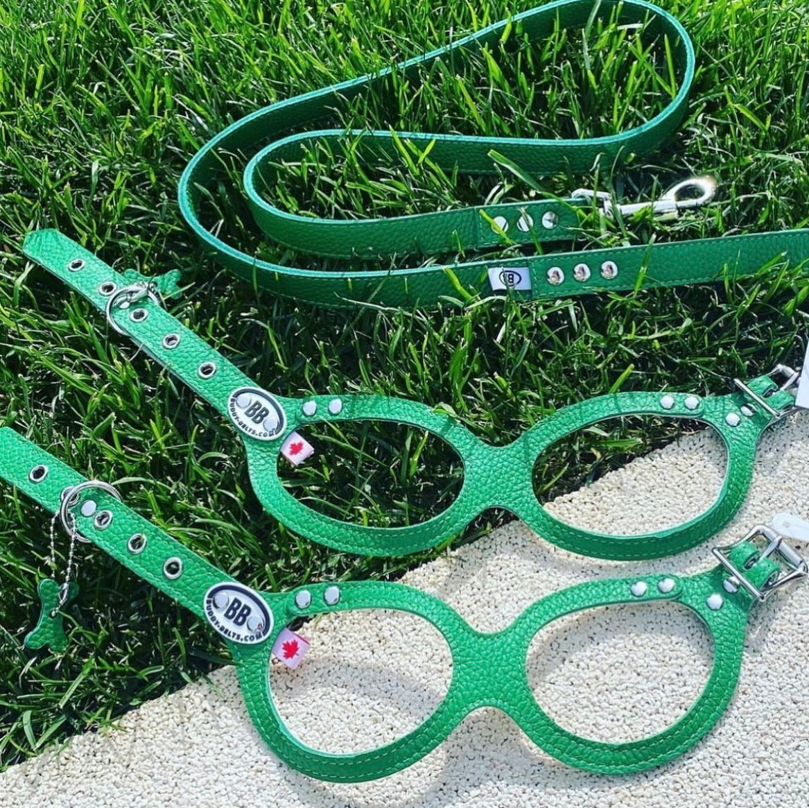 Luxury Emerald Leather Leash
