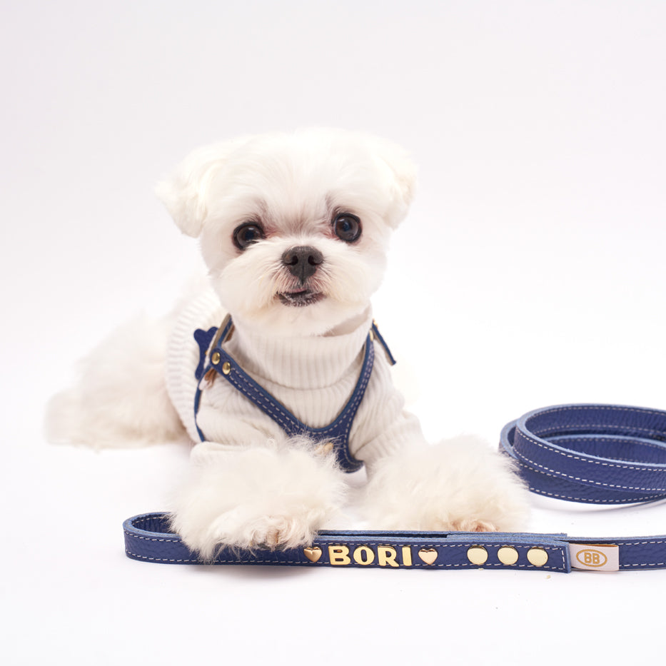 Initial For Leash (leash not included)