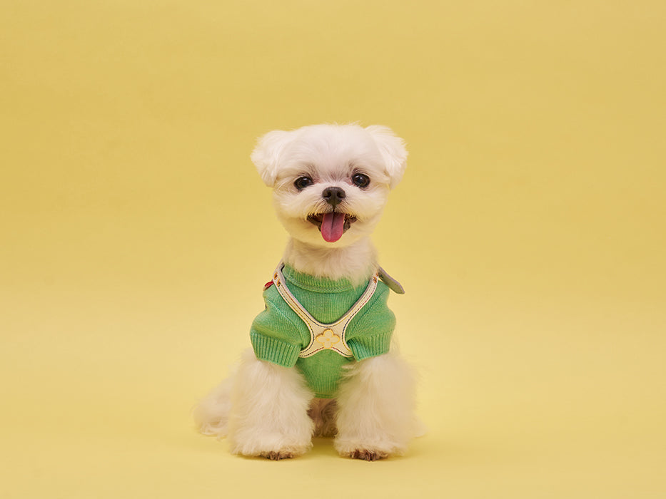 Elite Rainbow Harness