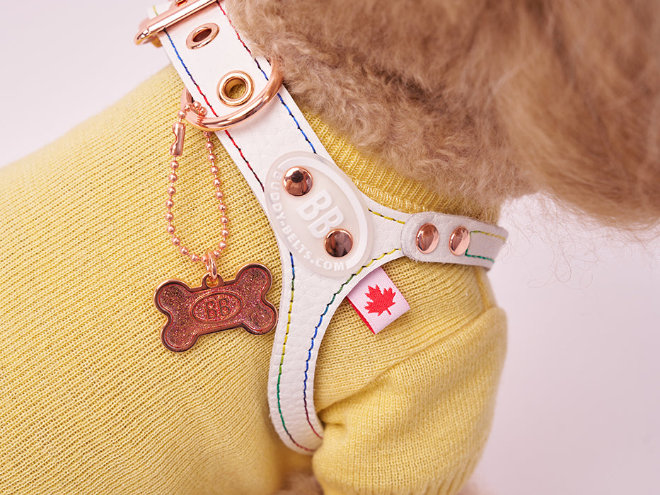Elite Rainbow Harness