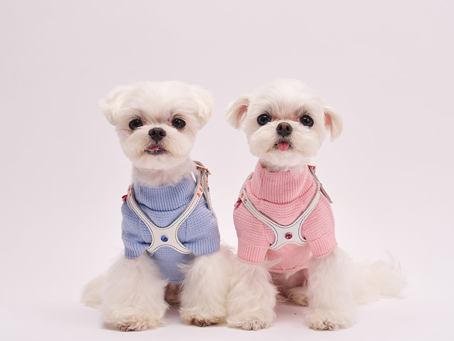 Elite Rainbow Harness