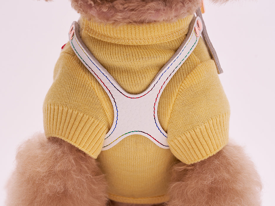 Elite Rainbow Harness