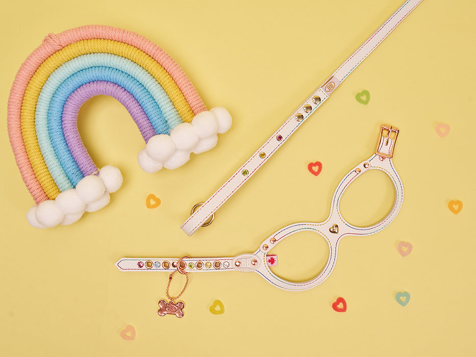 Elite Rainbow Leather Leash