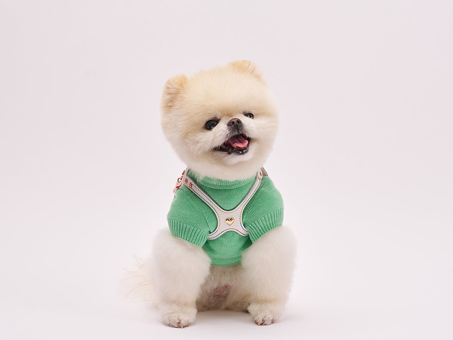 Elite Rainbow Harness