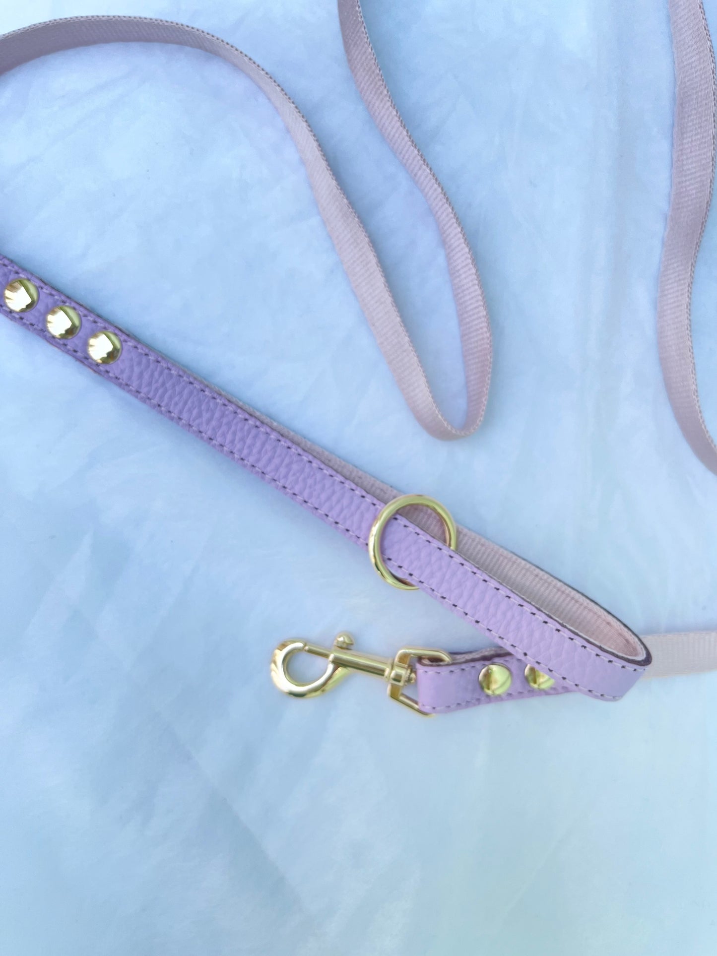Elite Lavender Nylon Leash