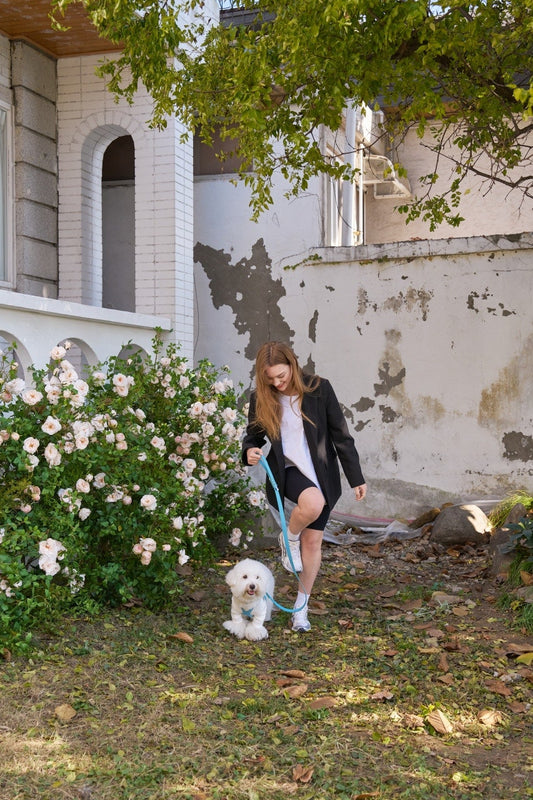 Premium Blue Leather Leash