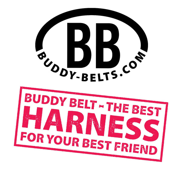 Buddy Belts Hong Kong