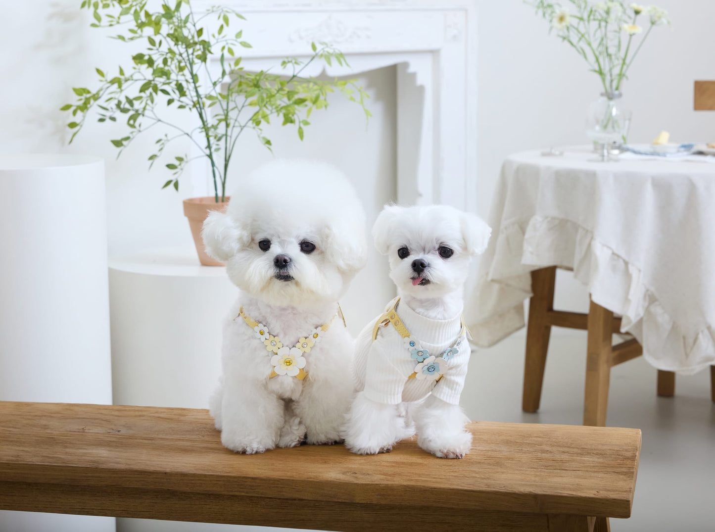Elite Butter Harness