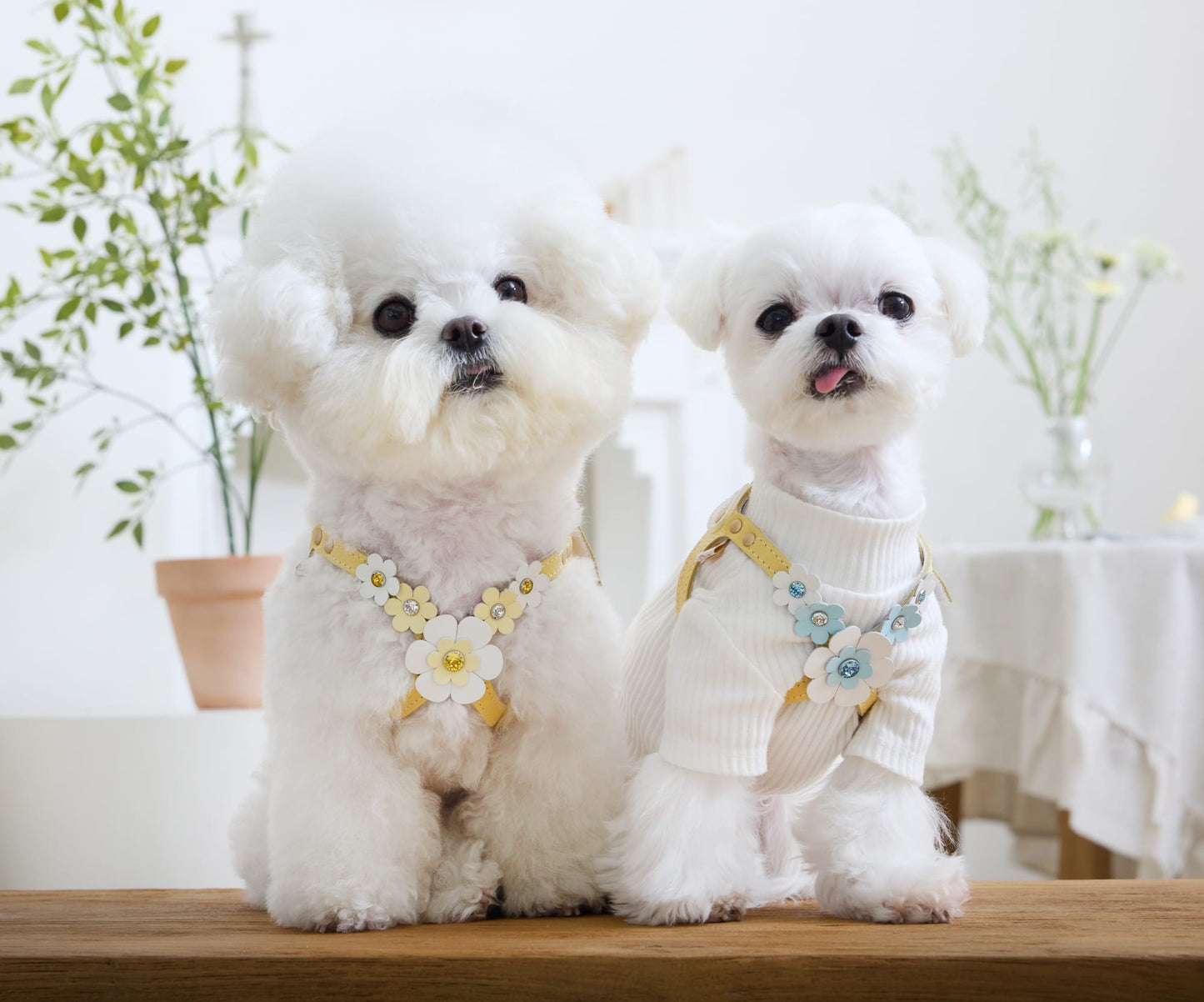 Elite Butter Harness