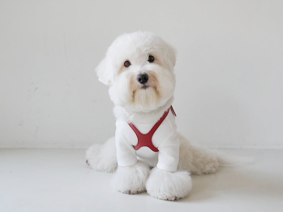 Premium Red Harness