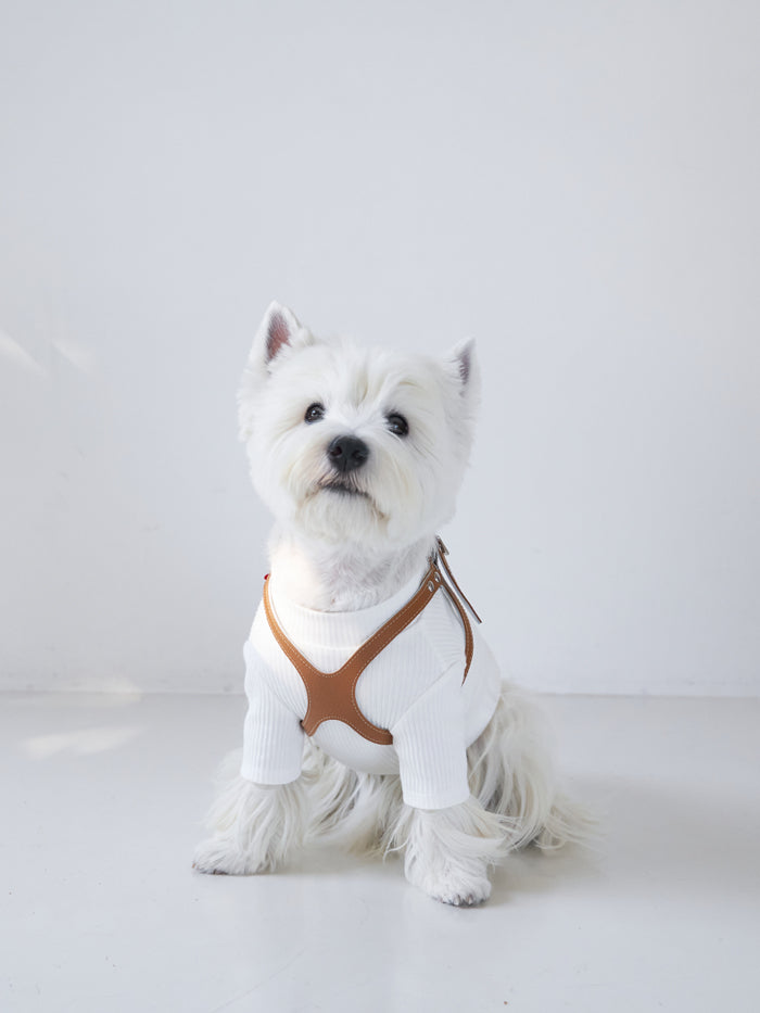 Premium Caramel Harness