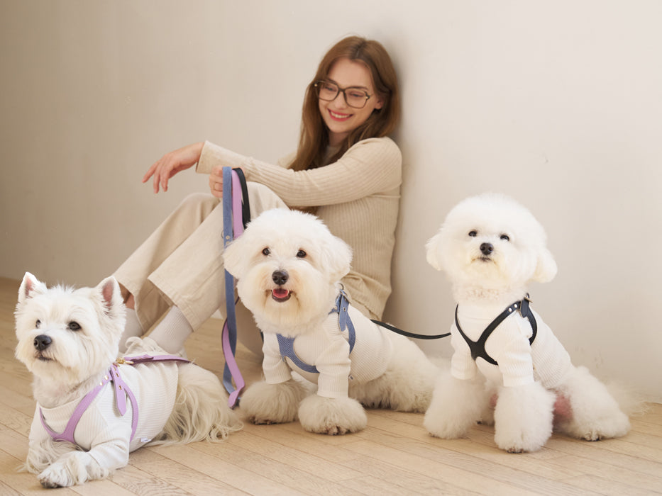 Elite Lavender Leather Leash
