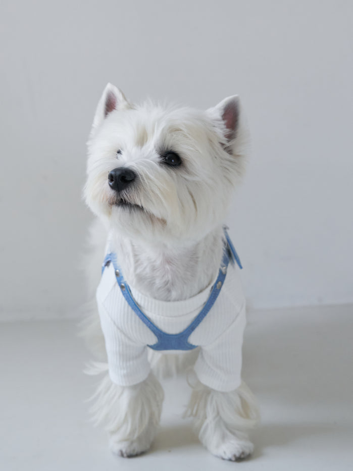 Luxury Dungaree Harness