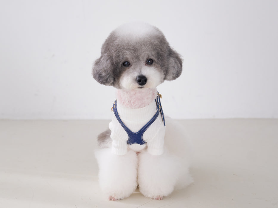 Elite Emblem Blue Harness