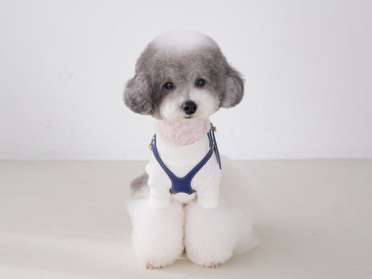 Elite Emblem Blue Harness
