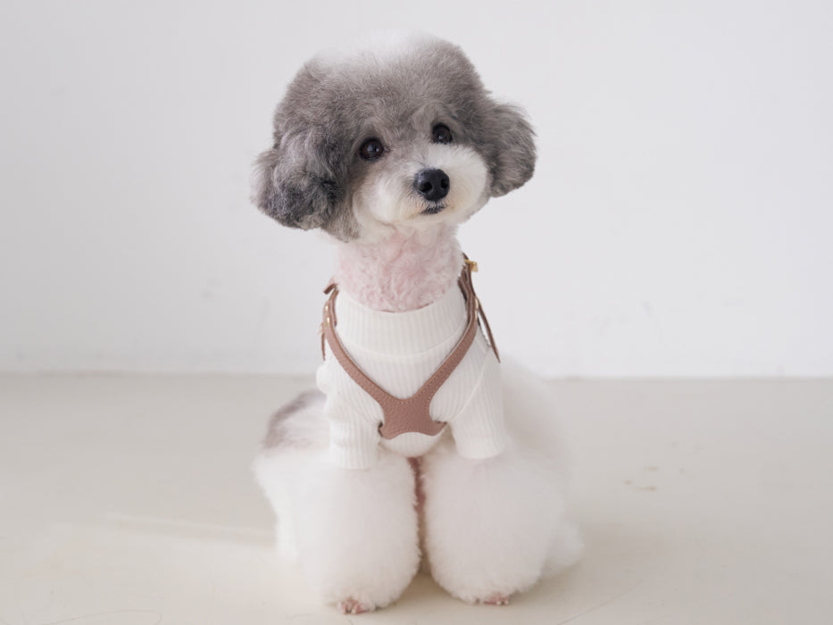 Luxury Latte Harness