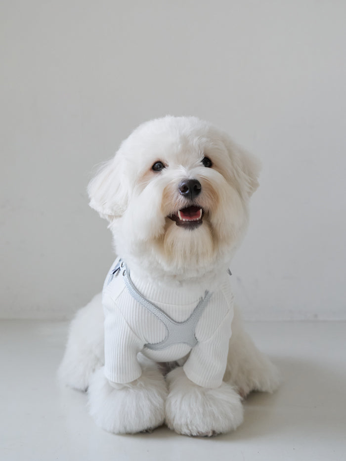 Luxury Moonwalk Harness